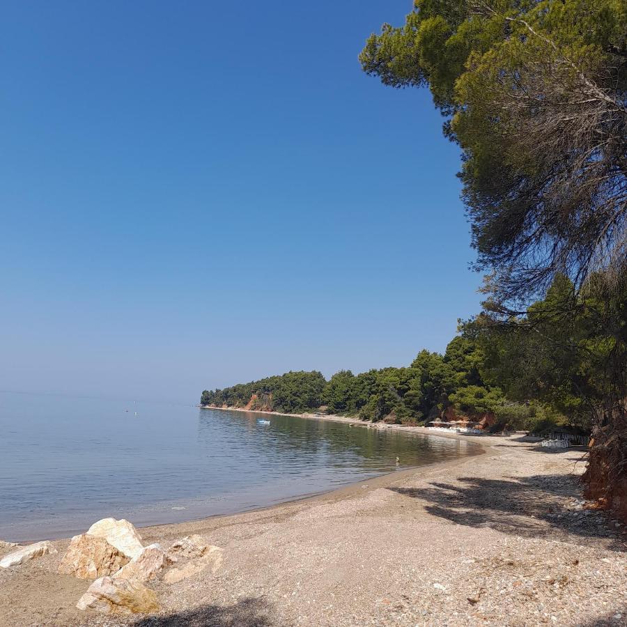 Ta Pefka Nikiti (Sithonia) Exterior foto