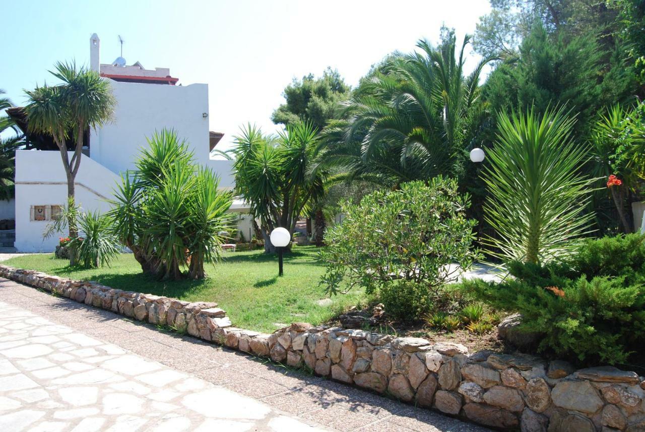 Ta Pefka Nikiti (Sithonia) Exterior foto